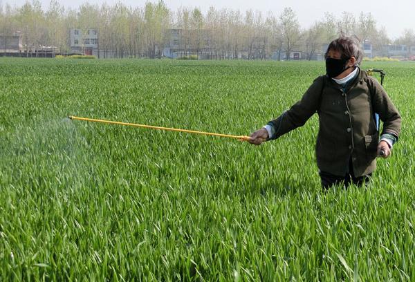 ���ս�������ׯ������С��һ���������¸߳�