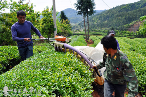 ����̩�����ɲ�����ٲ�ũ����