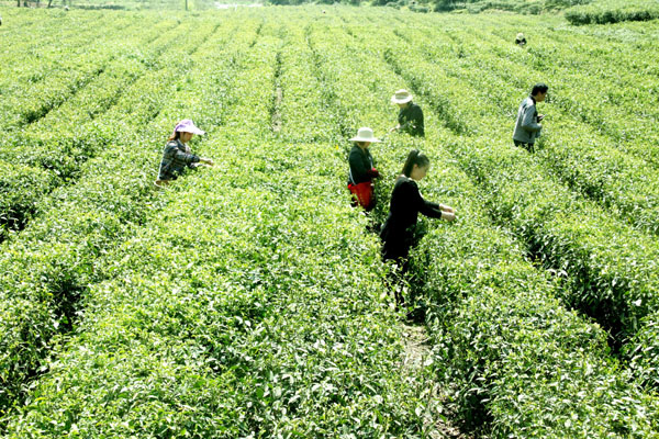 ������������̶��500Ķ������������ѿ ��ũ��ժæ