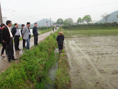 ������̶���쵼�������ж�����ʳ��������