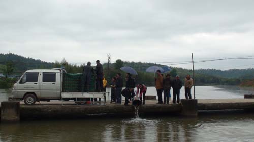 ������������ֳ��������湤������