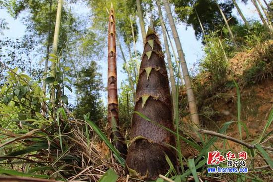 ������������������������Դ �������ҵ����