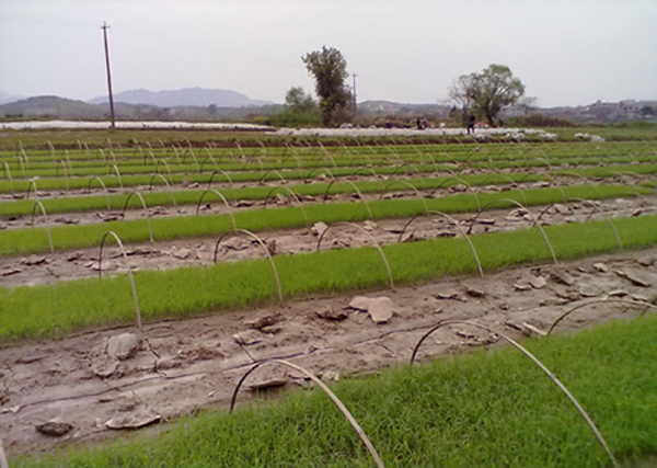 ���������أ������Ա�ϴ��Ĥ ũ������ϲ���ζ����أ������Ա�ϴ��Ĥ ũ������ϲ����