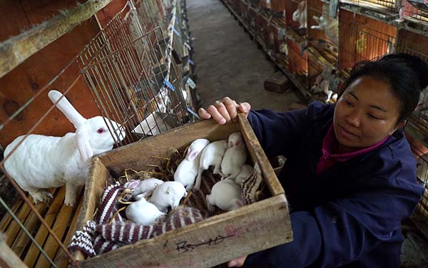 4��20�գ����Ϸ���̫����ɽ��һ��̡����ֳ�����ڣ���ֳ��Ա���տ�̡�����̡�