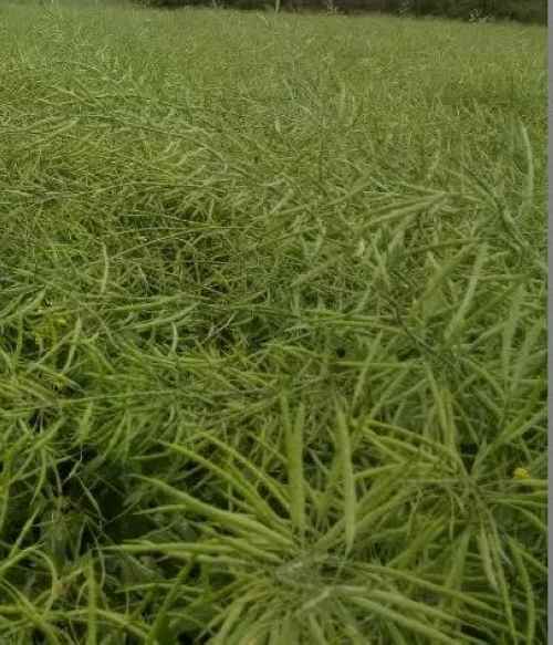 2015��߲�ʾ��Ƭ�����Ͳ�