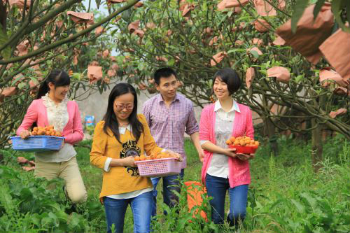 �Ĵ�������Ϫ�������򣺰�������˳���Ⱥ�ڷ�����