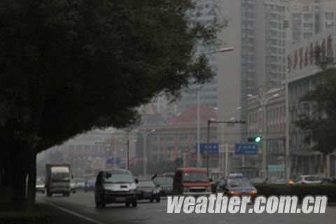 �ӱ��������� ����̨�����������Ԥ��