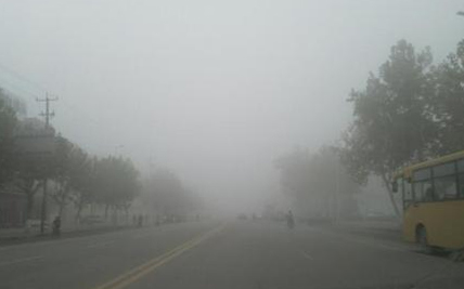 Ƶ��������ɽ�����ʼ۸�����