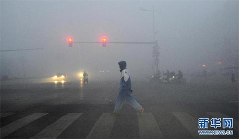 ��������������ɫԤ��