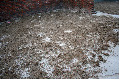 �¸����飺һ������ С����׬��Ǯ