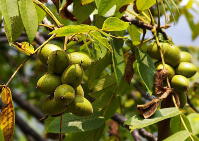 �̴�ï���������� ����Ұ���Ҹ���ֵ