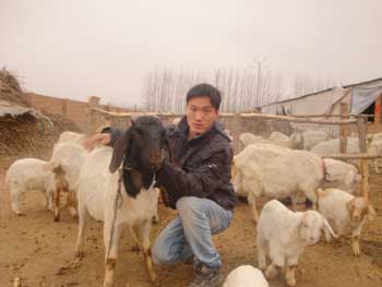 ũ�񹤻�������Ͷ��20��һ��ر�