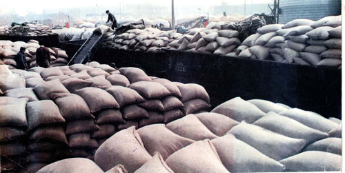 ũ�����仯ũҵ��ҵ�����й���ʳ����