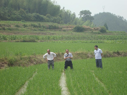 ����������פ��Ѳ�� ��ǿ����������