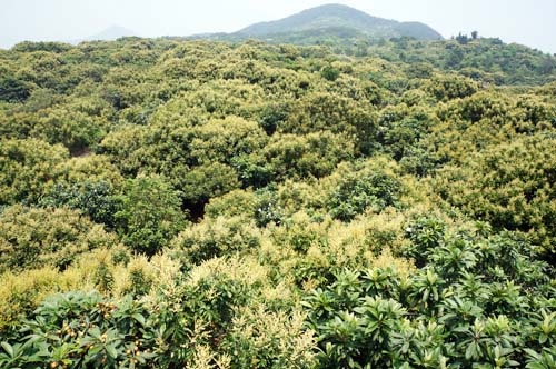 ���ۻ���ũ���������