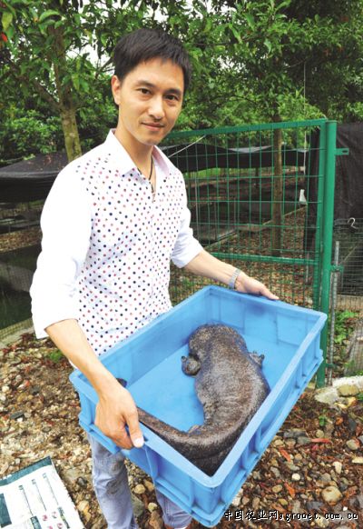 �㽭ʯ��������̬��ֳ������׬��Ǯ