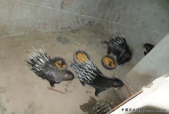 ���죺������ֳ�����¸�·