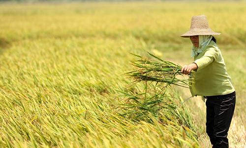 �����絾2012��7��9�տ���