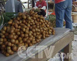 ÿũұ۵ĻƤ ÿũ ũҵ¸  ũҵ 