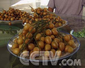 ÿũұ۵ĻƤ ÿũ ũҵ¸  ũҵ 