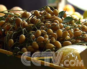 ÿũұ۵ĻƤ ÿũ ũҵ¸  ũҵ 