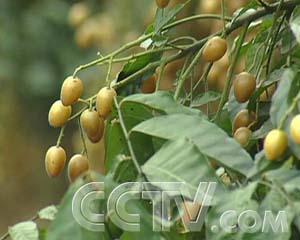 ÿũұ۵ĻƤ ÿũ ũҵ¸  ũҵ 