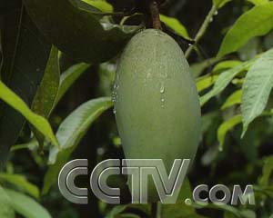 ÿũ׬Ǯâ ÿũ ũҵ¸  ũҵ 