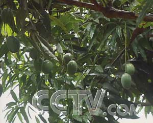 ÿũ׬Ǯâ ÿũ ũҵ¸  ũҵ 