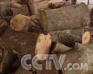 ÿũ׬Ǯâ ÿũ ũҵ¸  ũҵ 