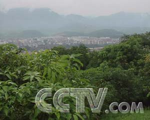 ÿũ׬Ǯâ ÿũ ũҵ¸  ũҵ 