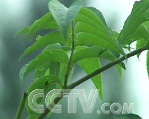 ÿũһļҰ ÿũ ũҵ¸  ũҵ 