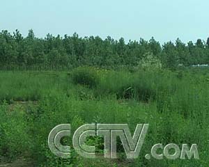 ÿũһļҰ ÿũ ũҵ¸  ũҵ 