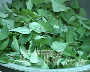 ÿũһļҰ ÿũ ũҵ¸  ũҵ 