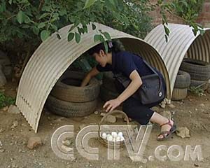 ÿũ̶µĲ񼦵 ÿũ ũҵ¸  ũҵ 