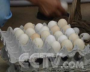 ÿũ̶µĲ񼦵 ÿũ ũҵ¸  ũҵ 