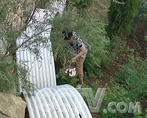 ÿũ̶µĲ񼦵 ÿũ ũҵ¸  ũҵ 