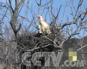 ÿũ̶µĲ񼦵 ÿũ ũҵ¸  ũҵ 