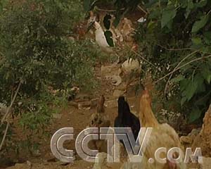 ÿũ̶µĲ񼦵 ÿũ ũҵ¸  ũҵ 