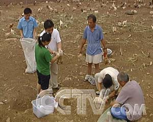 ÿũ̶µĲ񼦵 ÿũ ũҵ¸  ũҵ 