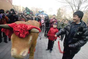 “鞭打春牛”民俗绝迹近百年后再现北京(图)