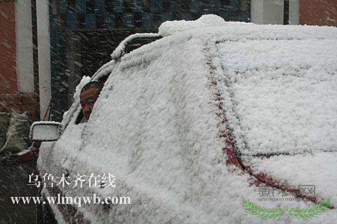 新疆伊犁河谷花开时节下大雪(组图)