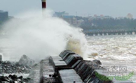 ̨ܼΪѹ 㶫󲿳ˮ(ͼ)