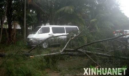 ̨ܼΪѹ 㶫󲿳ˮ(ͼ)