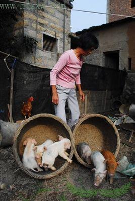 ĸ��һ̥����28�� ����ͷ����ιʳ(��ͼ)