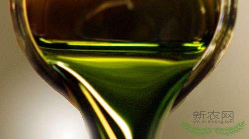 美一家科技公司利用海藻成功制造出