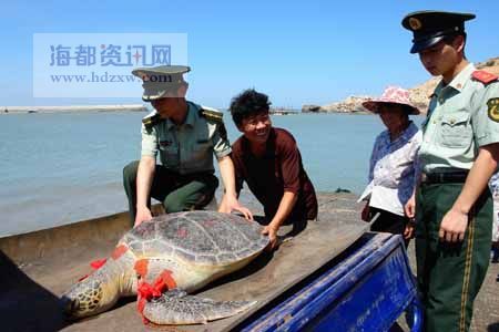 ���񲶻�300��󺣹� ��1.2����170��(ͼ)