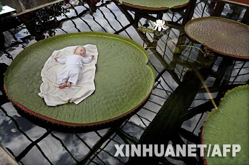 ͼ�ģ��������Ǵ�ѧֲ��԰Ӥ����������Ҷ��