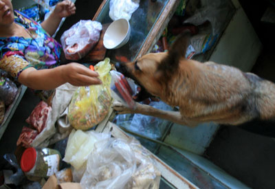 8��ĸ��7����Ϊ��������δ������(��ͼ)