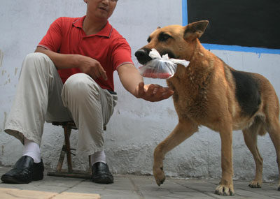 8��ĸ��7����Ϊ��������δ������(��ͼ)