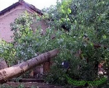 湖南会同遭狂风骤雨突袭全县城停电停水(图)
